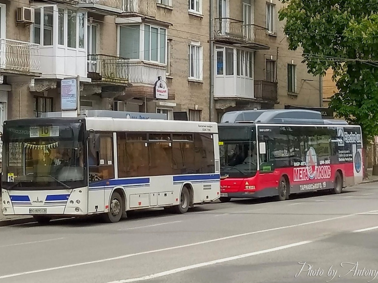 У Тернополі мобільні групи контролюватимуть дотримання карантинних вимог в ресторанах, маршрутках та на ринках