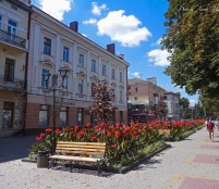 У центральній частині Тернополя висаджують літні квітники