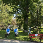 У парках Тернополя 14-15 травня проводитимуть обробку від кліщів