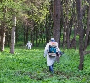 До уваги тернополян! 12 квітня у парку «Топільче» та Старому парку проводитимуть заходи зі знищення іксодових кліщів