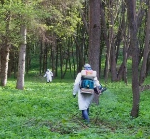 До уваги тернополян! 12 квітня у парку «Топільче» та Старому парку проводитимуть заходи зі знищення іксодових кліщів