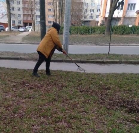 Більше 250 прибудинкових територій очищено  від початку двомісячника благоустрою у Тернополі