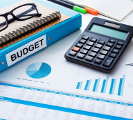 Онлайн-трансляція звіту про виконання бюджету Тернопільської міської територіальної громади за 2025 рік