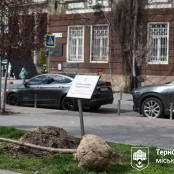 У Тернополі висадили нові дерева у межах акції «Підтримай ЗСУ - посади іменне дерево»