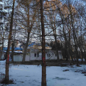 У парку «Сопільче» видалять три аварійні дерева