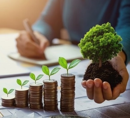 У Тернополі з 1 січня 2025 року змінюється нормативна грошова оцінка земель