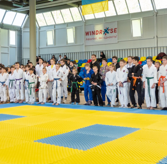Близько 400 спортсменів взяли участь у Кубку України з джиу-джитсу