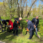 У парку Сопільче висадили нові дерева на Алеї пам’яті загиблих на виробництві