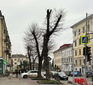 В рамках облаштування безбар’єрного простору на вулиці Михайла Грушевського зріжуть шість старих лип