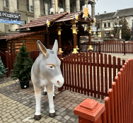 12 грудня у Тернополі освятять шопку, що цьогоріч замінить головну ялинку