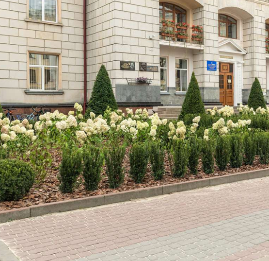 У Тернопільській школі №3 провели оновлення квітників