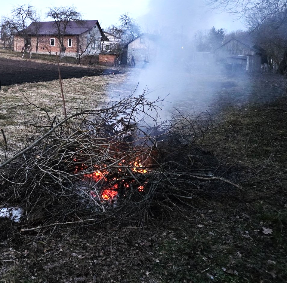 Муніципальною інспекцією виявлено факти спалювання сухої рослинності на території Тернопільської громади