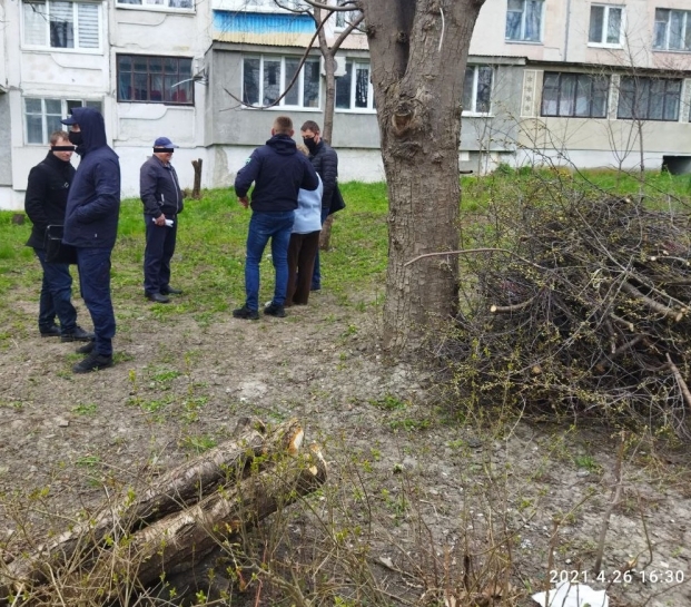 На тернополянина, що самовільно зрізав дерева на вул. Корольова, 2, складено три протоколи про адміністративні правопорушення