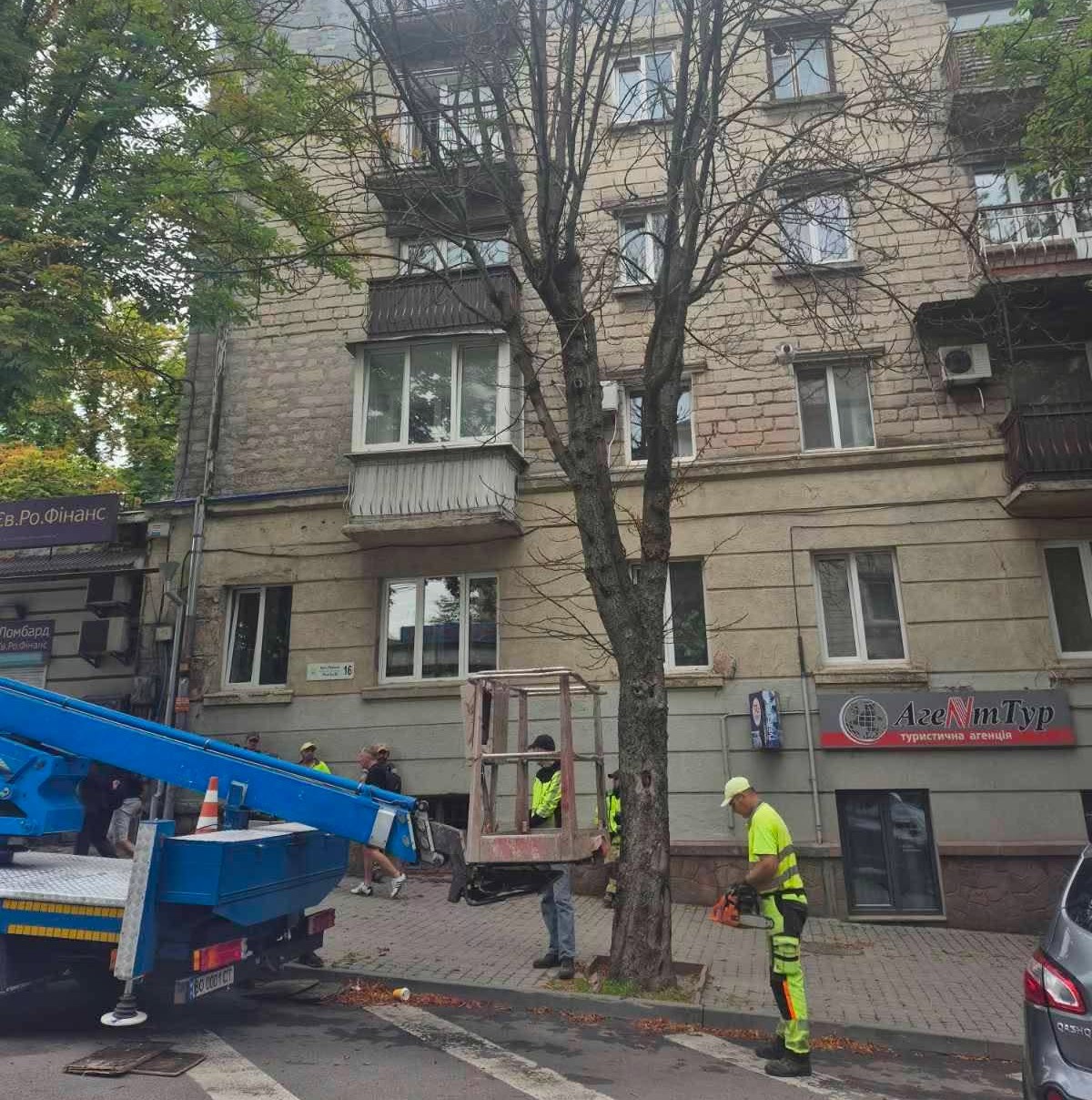 У Тернополі на вулиці Маркіяна Шашкевича проводять роботи з видалення двох аварійних каштанів