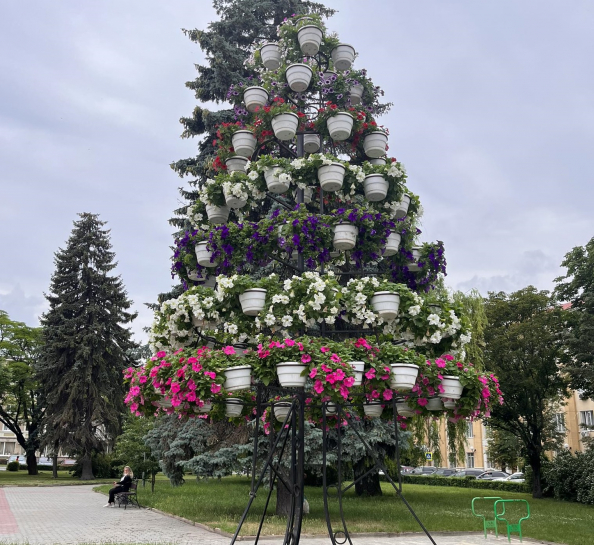 Понад 500 вазонів з квітами висадили на центральних вулицях Тернополя