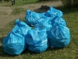 В Тернопільській територіальній громаді проведуть загальноміську толоку