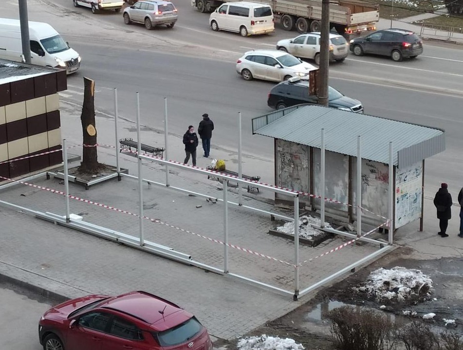 Підприємець заплатить штраф за пошкодження дерев біля Збаразького кільця