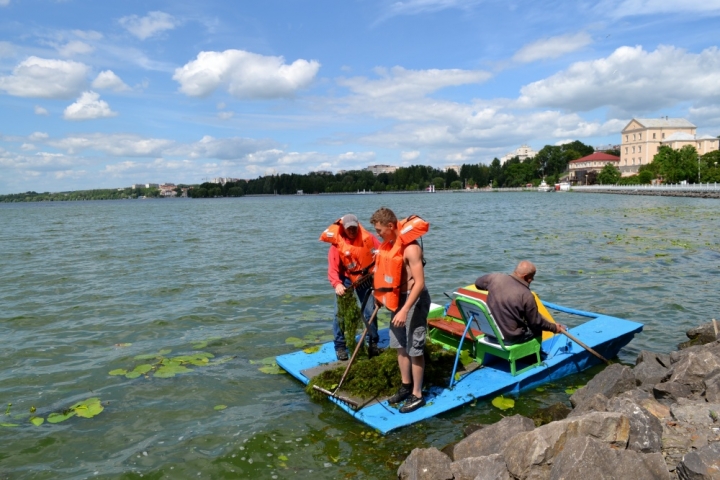Тернопільський став очищають від водоростей та сміття
