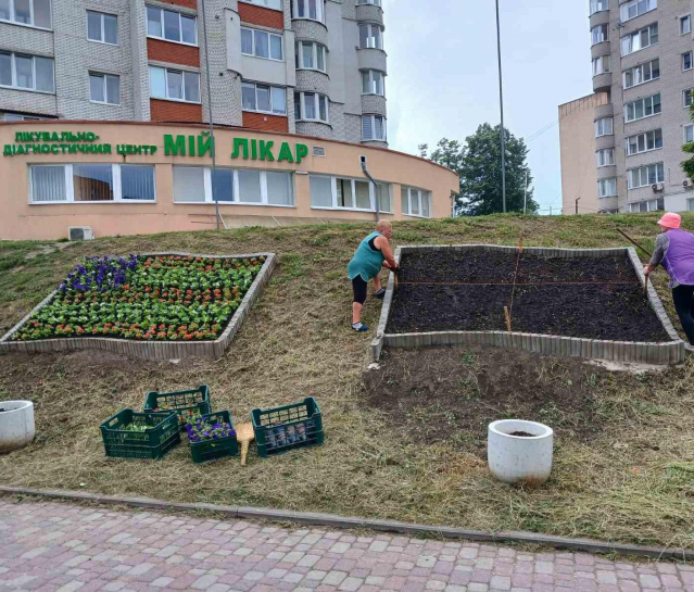 У Тернополі висаджують квіти у кольорах прапорів ЄС, США, Польщі, Великобританії та України