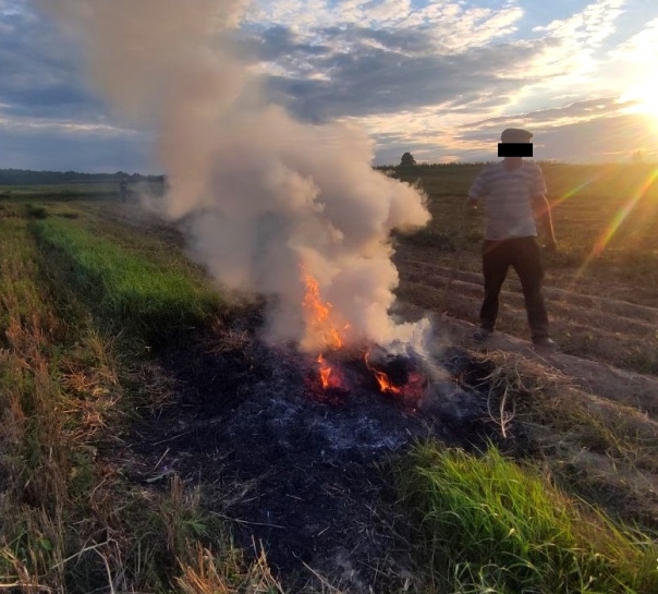 Муніципальною інспекцією виявлено вісім фактів спалювання різного типу відходів та сухої трави на території Тернопільської громади