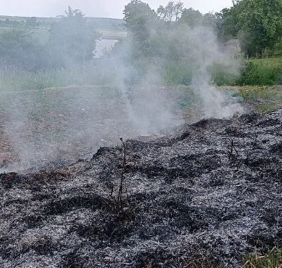 Муніципальні інспектори склали протокол на громадянина за спалювання сухої рослинності