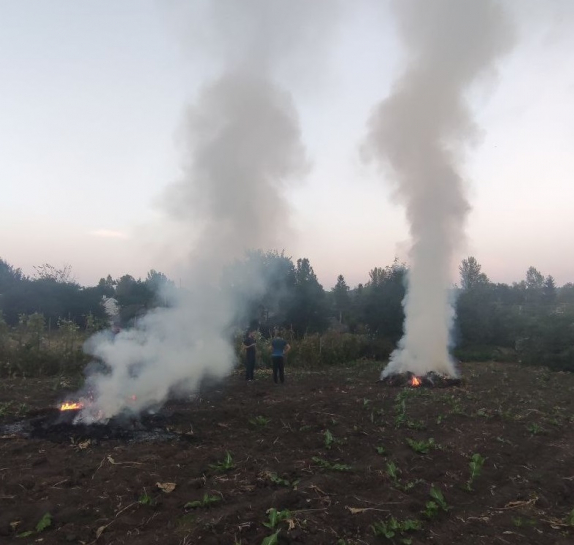 Шість адміністративних протоколів склали муніципальні інспектори на громадян за спалювання залишків рослинності