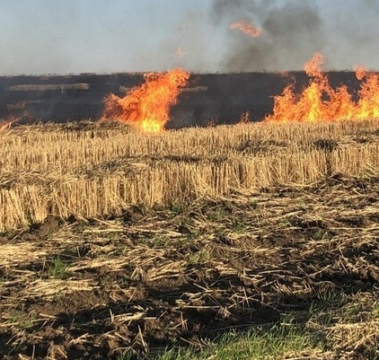 За спалювання сухої рослинності у період воєнного часу передбачено покарання у вигляді ув'язнення строком від 10 до 15 років