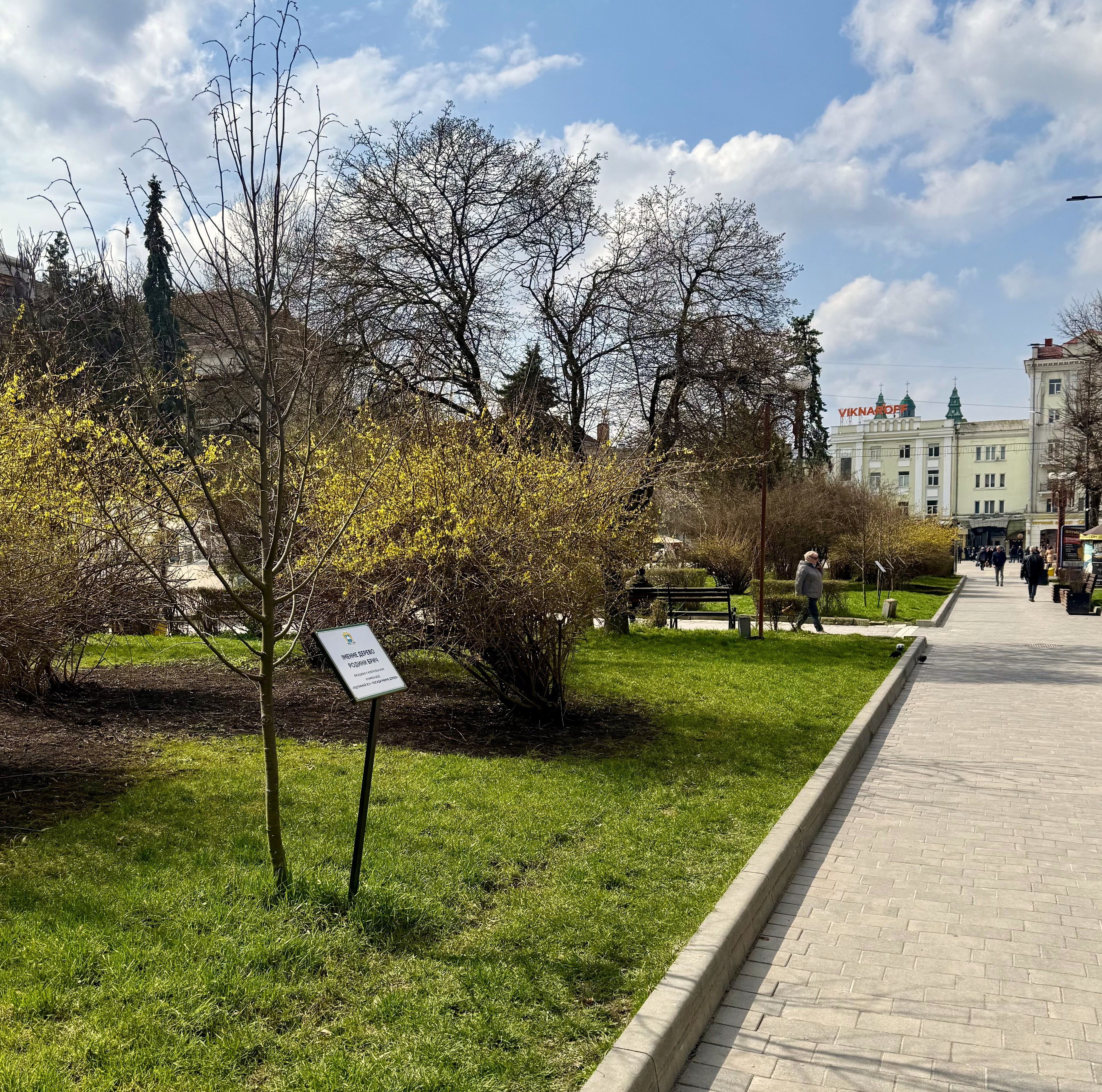 До 5 квітня тернополяни ще можуть долучитися до акції «Підтримуй ЗСУ - посади іменне дерево»