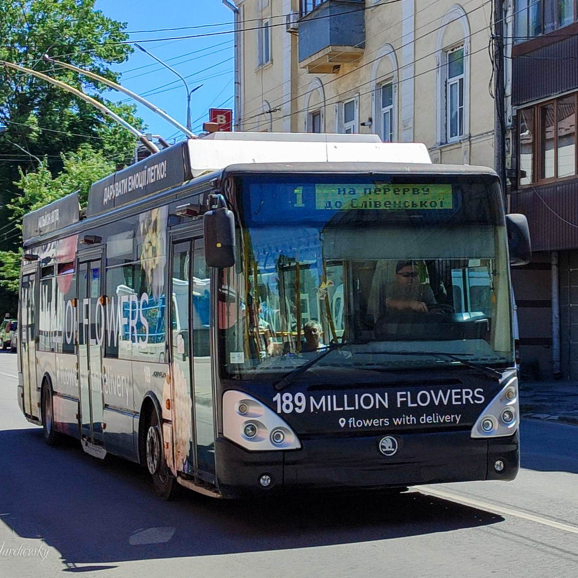 У Тернополі змінять номери тролейбусів і автобусів: вводять єдину систему нумерації