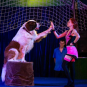 Діти Героїв Тернопільської громади отримали 200 квитків на циркове шоу «Шапіто»