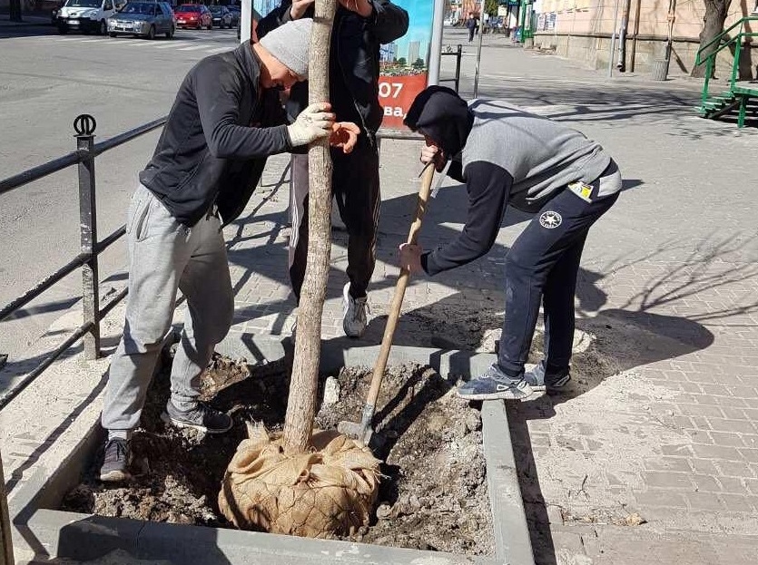 На центральній вулиці Тернополя висадили нові зелені насадження