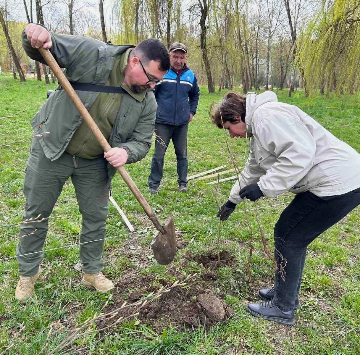У Тернополі в парку «Сопільче» висадили 30 молодих дубів