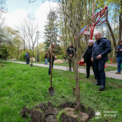 Терапевтичний сад у парку Сопільче поповнився екзотичними вербами Матсудана