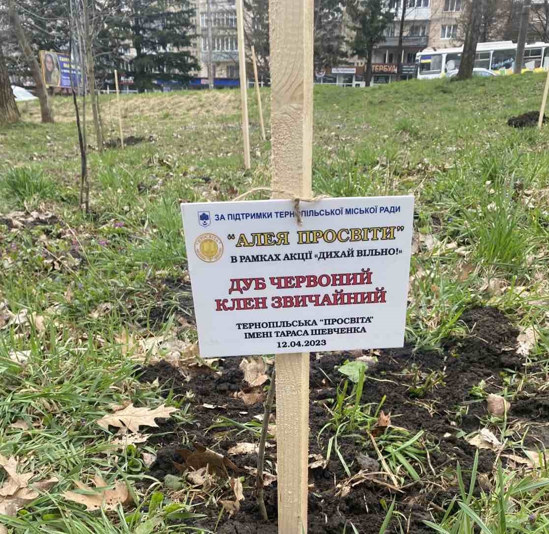 Близько 2200 молодих дерев висадили у Тернопільській громаді в рамках двомісячника благоустрою