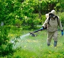 Увага! Сьогодні, 12 квітня, у парку «Топільче» та в Старому парку проводитимуть заходи зі знищення іксодових кліщів