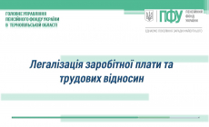 Легалізація заробітної плати та трудових відносин